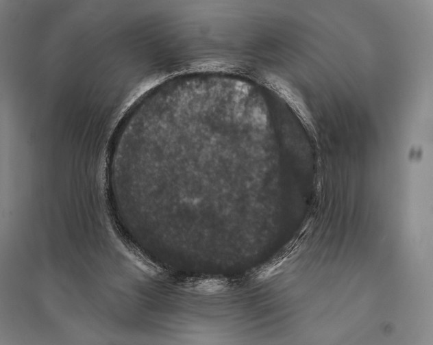 X0000095510156200801111421