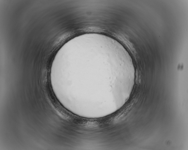 X0000095510157200801111421