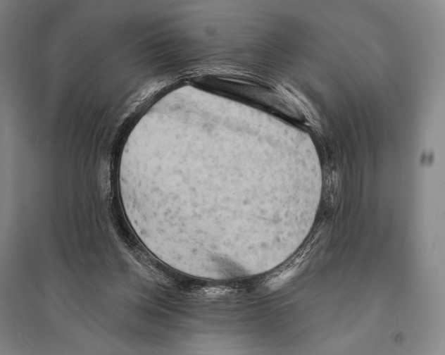 X0000095510158200801111421