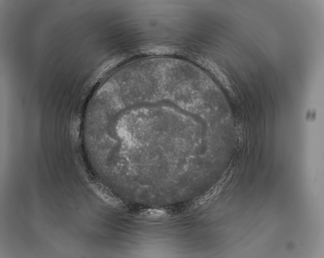 X0000095510159200801111421