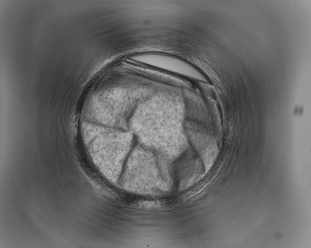 X0000095510160200801111421