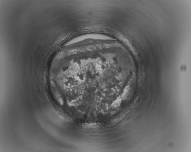 X0000095510161200801111421
