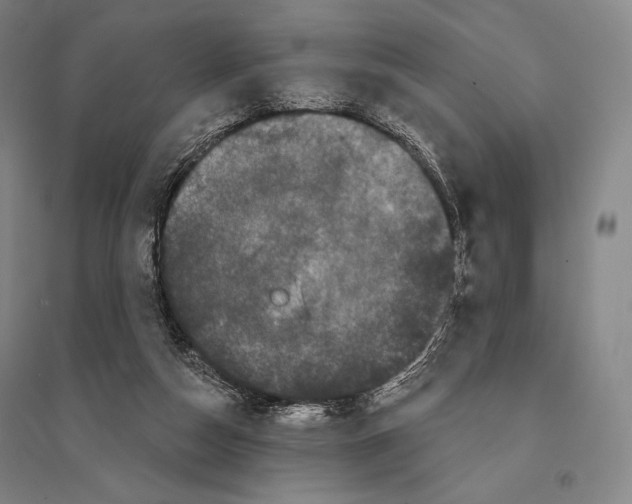 X0000095510162200801111421