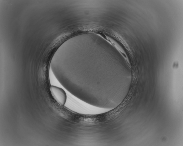 X0000095510163200801111421