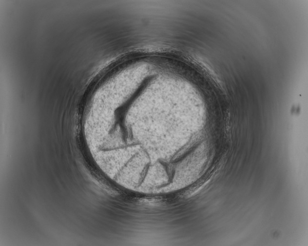 X0000095510164200801111421