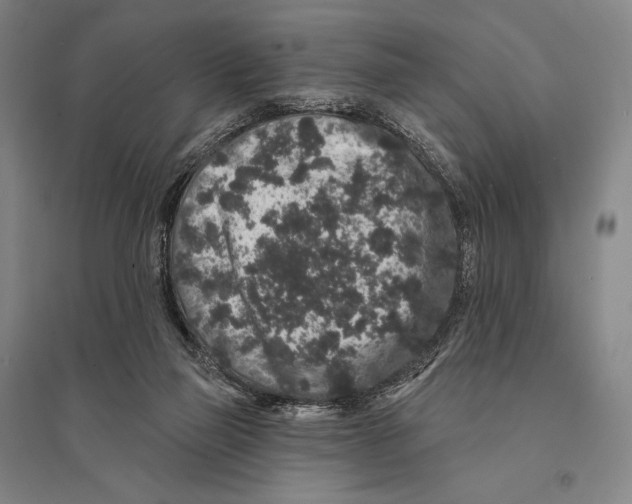 X0000095510165200801111421