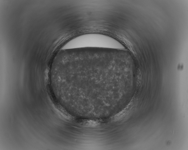 X0000095510166200801111421