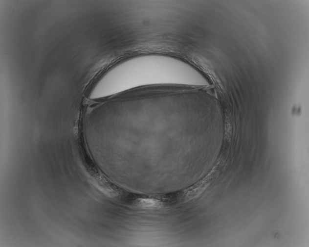 X0000095510167200801111421