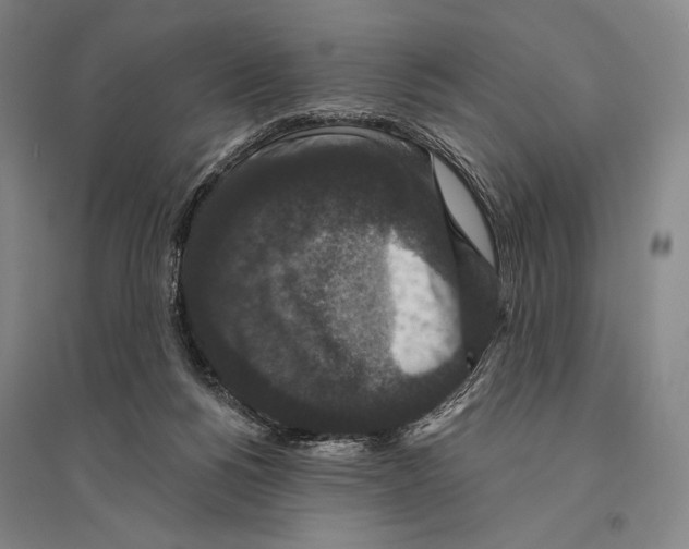 X0000095510168200801111421