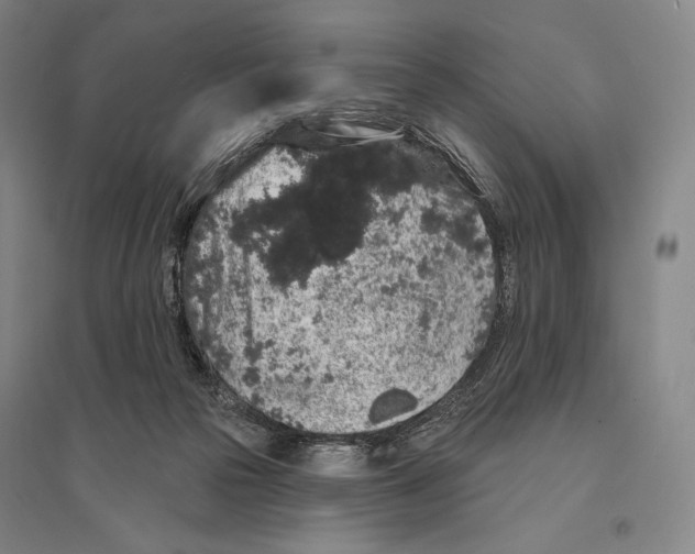 X0000095510169200801111421