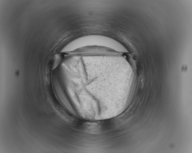 X0000095510170200801111421