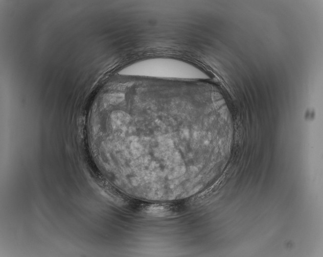X0000095510171200801111421