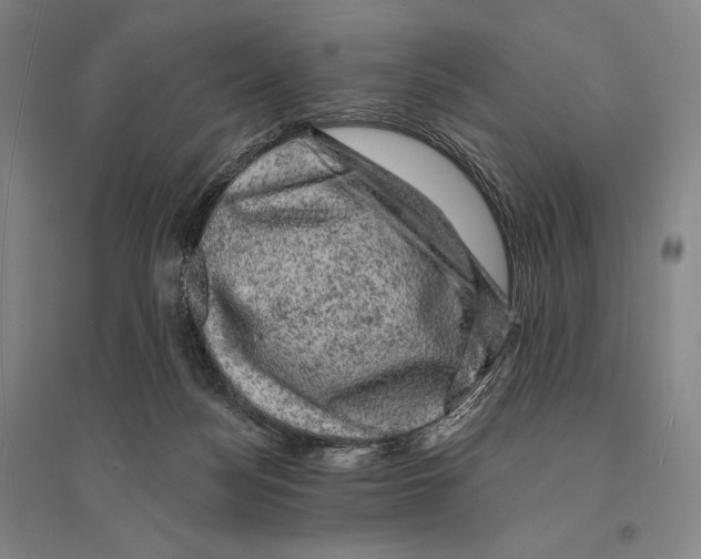 X0000095510172200801111421