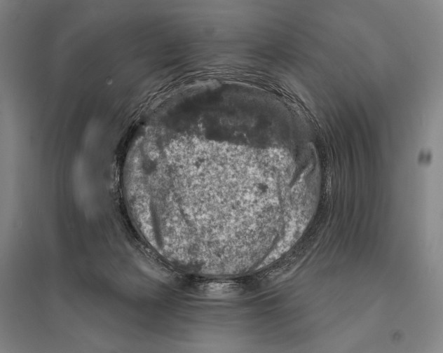 X0000095510173200801111421