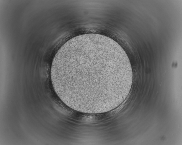 X0000095510174200801111421