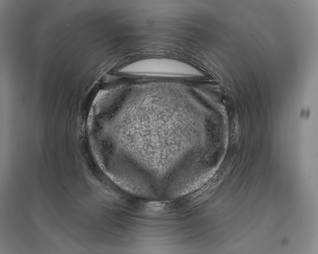X0000095510176200801111421