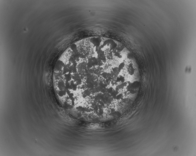 X0000095510177200801111421