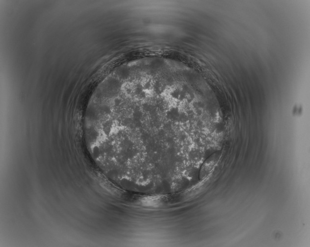 X0000095510178200801111421