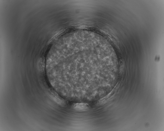 X0000095510179200801111421