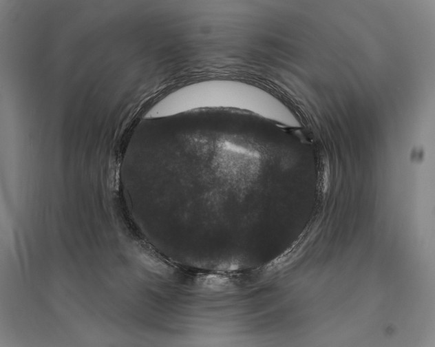 X0000095510180200801111421