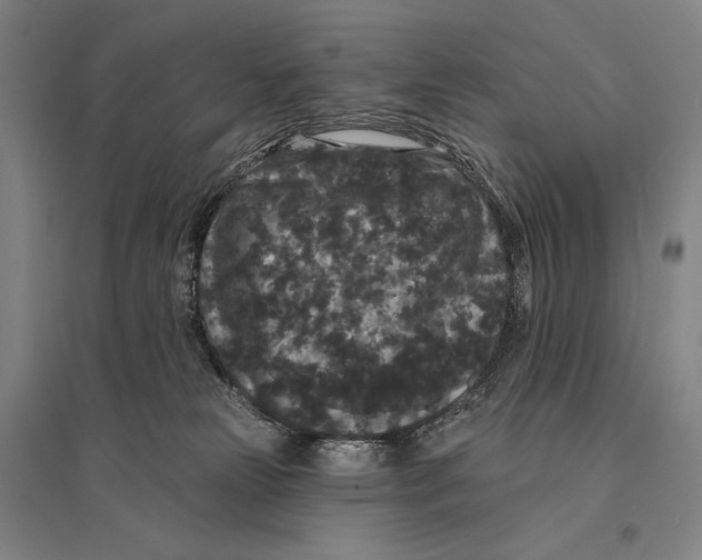 X0000095510181200801111421