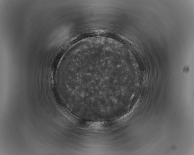 X0000095510182200801111421