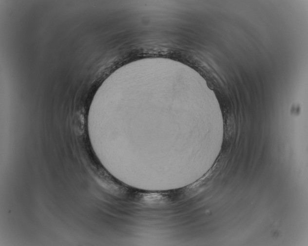 X0000095510183200801111421