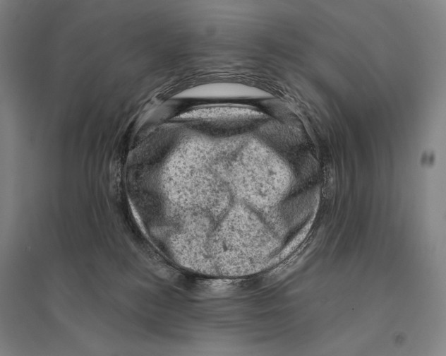 X0000095510184200801111421