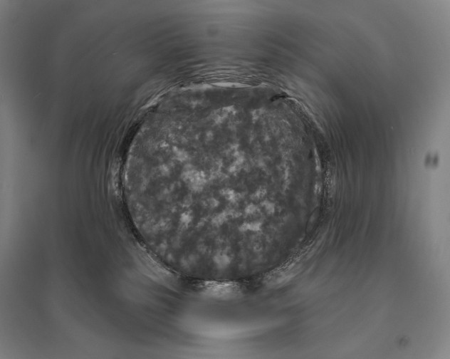 X0000095510185200801111421