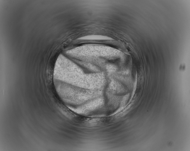 X0000095510186200801111421