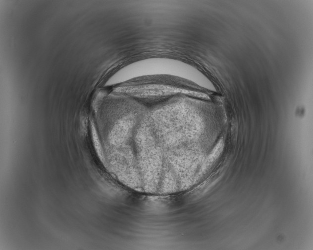 X0000095510188200801111421