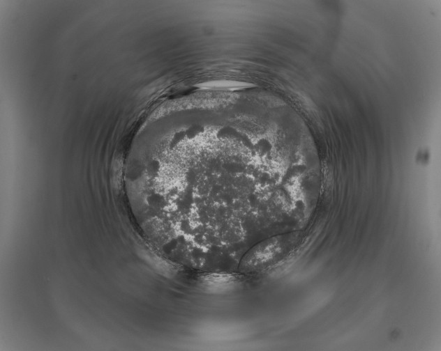X0000095510189200801111421