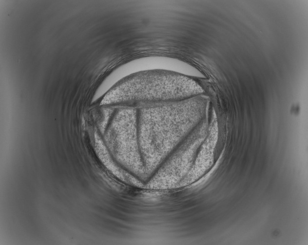 X0000095510190200801111421
