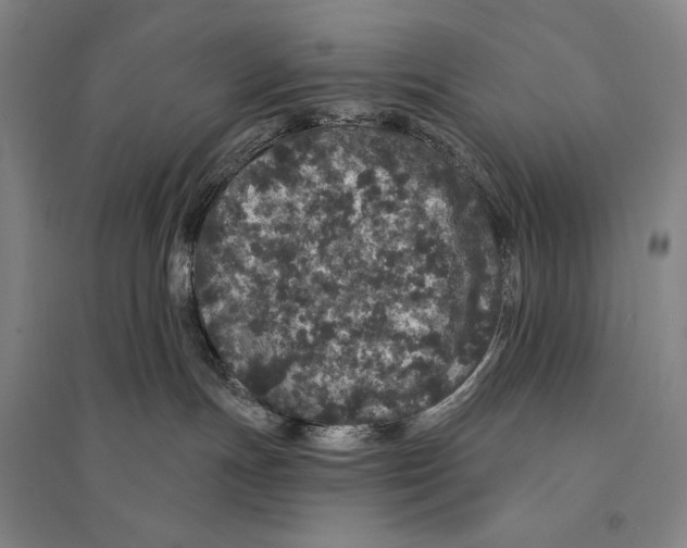 X0000095510191200801111421