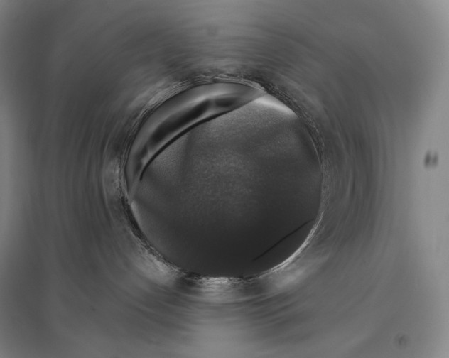 X0000095510192200801111421