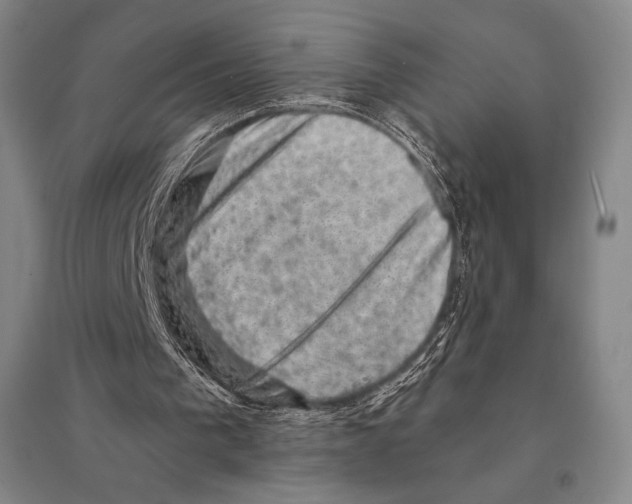 X0000095510193200801111421