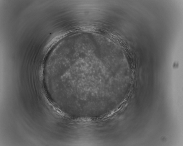 X0000095510194200801111421