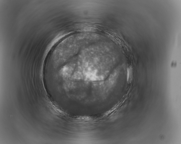 X0000095510195200801111421