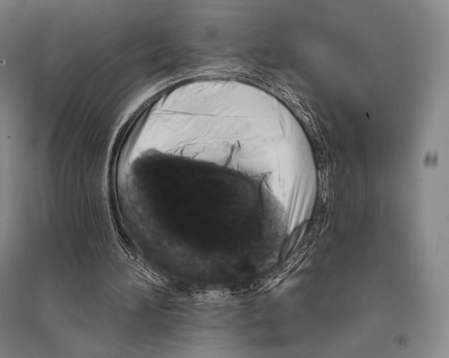X0000095510196200801111421