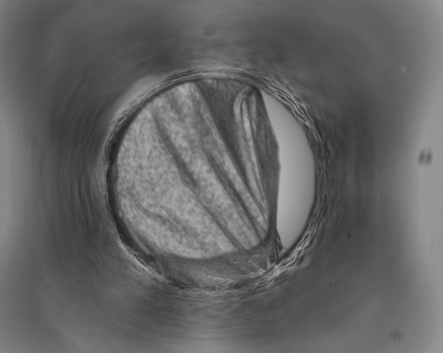 X0000095510197200801111421