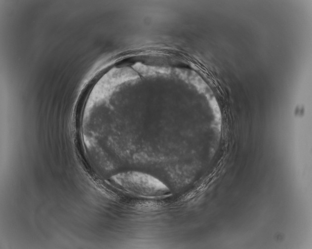 X0000095510198200801111421