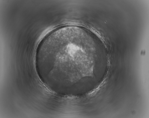 X0000095510199200801111421
