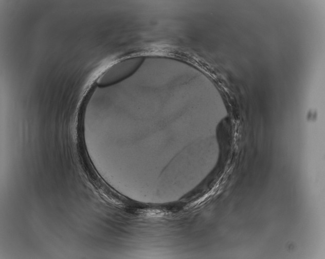 X0000095510200200801111421