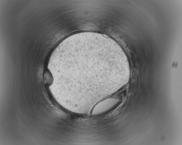 X0000095510201200801111421