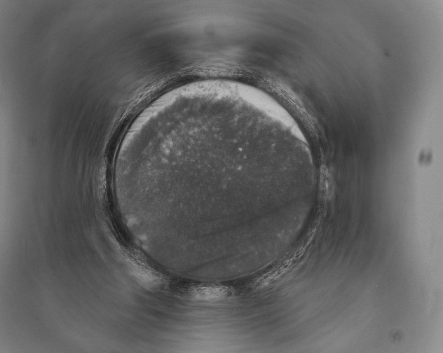 X0000095510202200801111421