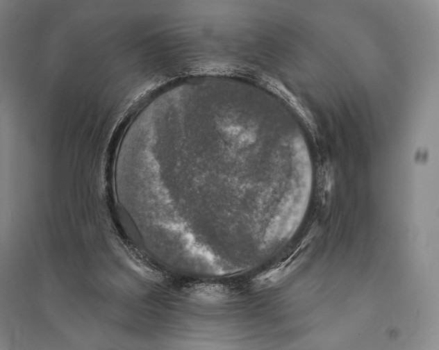 X0000095510203200801111421