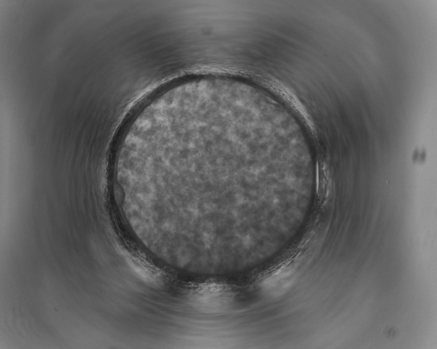 X0000095510204200801111420