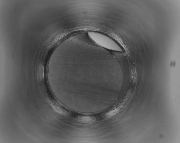 X0000095510205200801111420