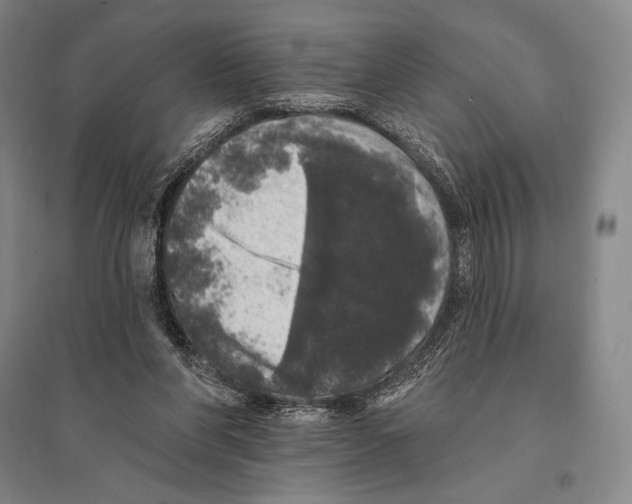 X0000095510206200801111420