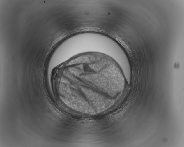 X0000095510207200801111420